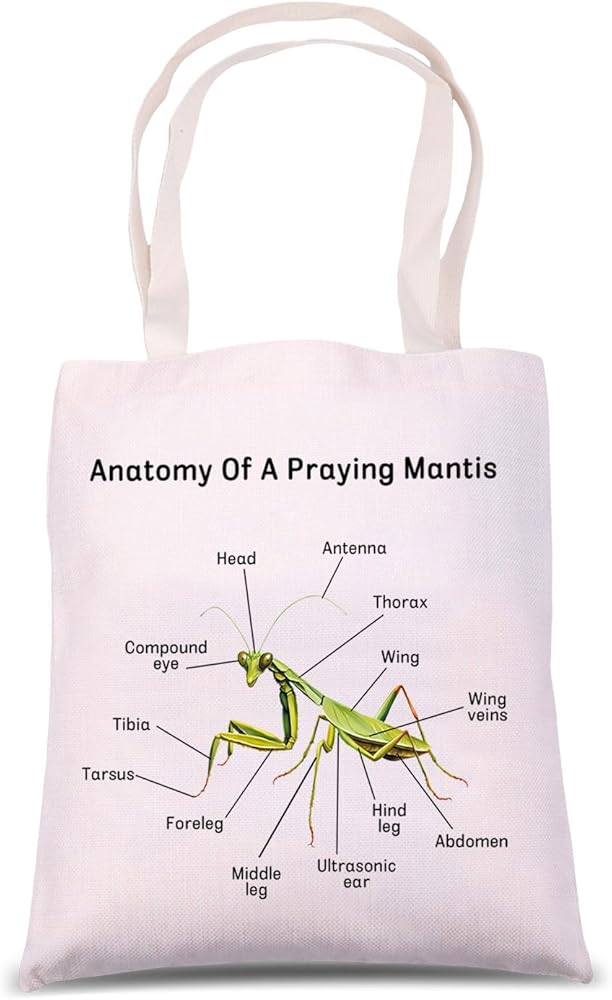 Praying Mantis Anatomy Shoulder Bag Praying Mantis Lover Gift Praying Mantis Insect Tote Bag Insect Theme Gift