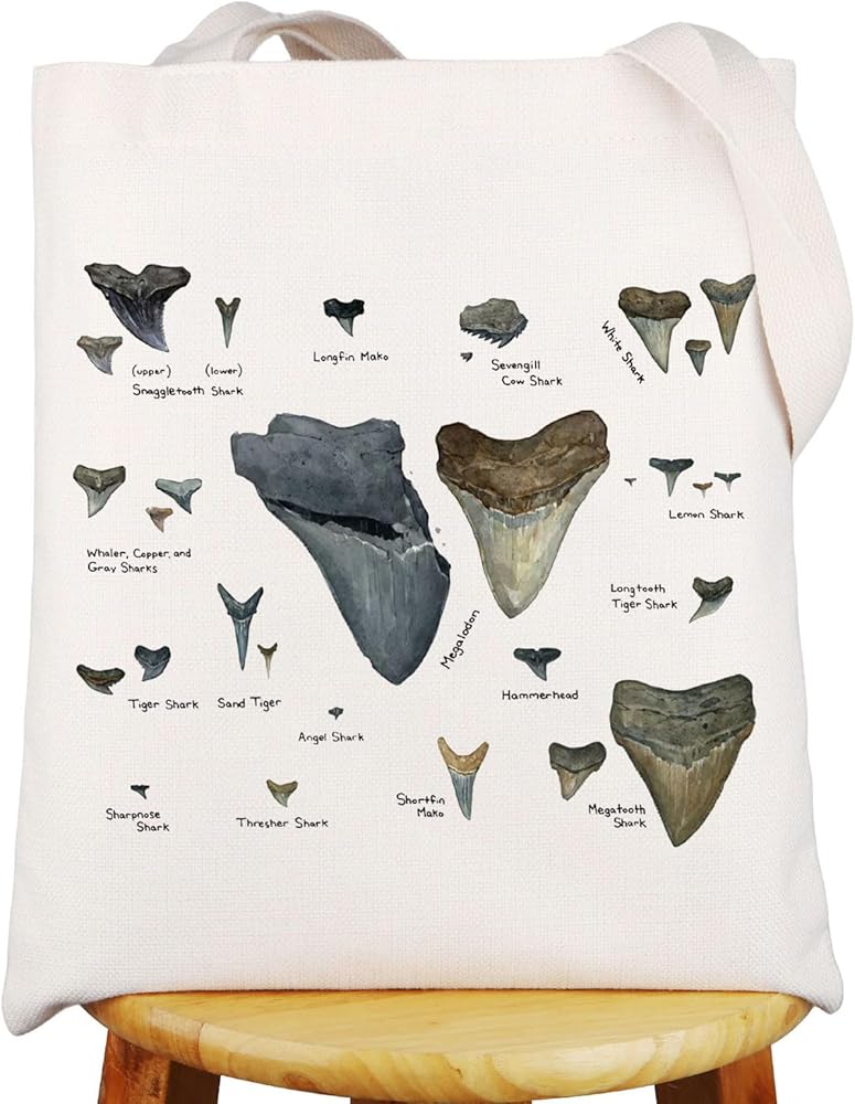 Shark Tooth Tote Bag Shark Tooth Lover Gift Shark Teeth Hunter Tote Bag Shark Teeth Collector Paleontology Gifts