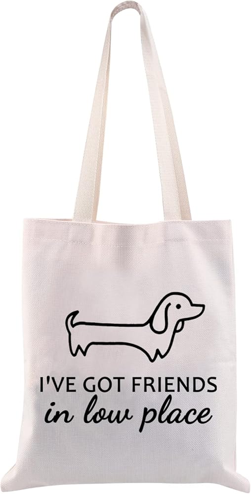 AKTAP Dachshund Gifts Funny Dachshund Dog Tote Bag Weiner Dog Merch I've Got Friends In Low Places Handbags for Dog Lover